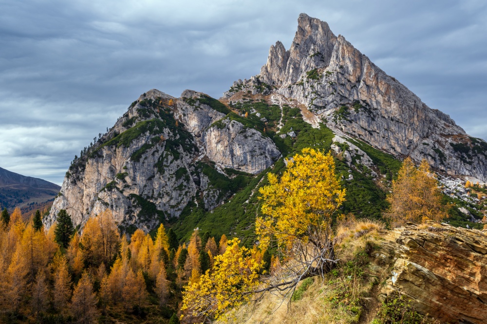 Colorful autumn alpine Dolomites rocky  mountain scene, Sudtirol, Italy. Peaceful view from Falzarego Pass. Picturesque traveling, seasonal, nature and countryside beauty concept scene.
