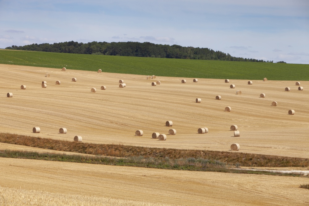 straw bales in rolling hills of northern france under blue sky on sunny summer evening
