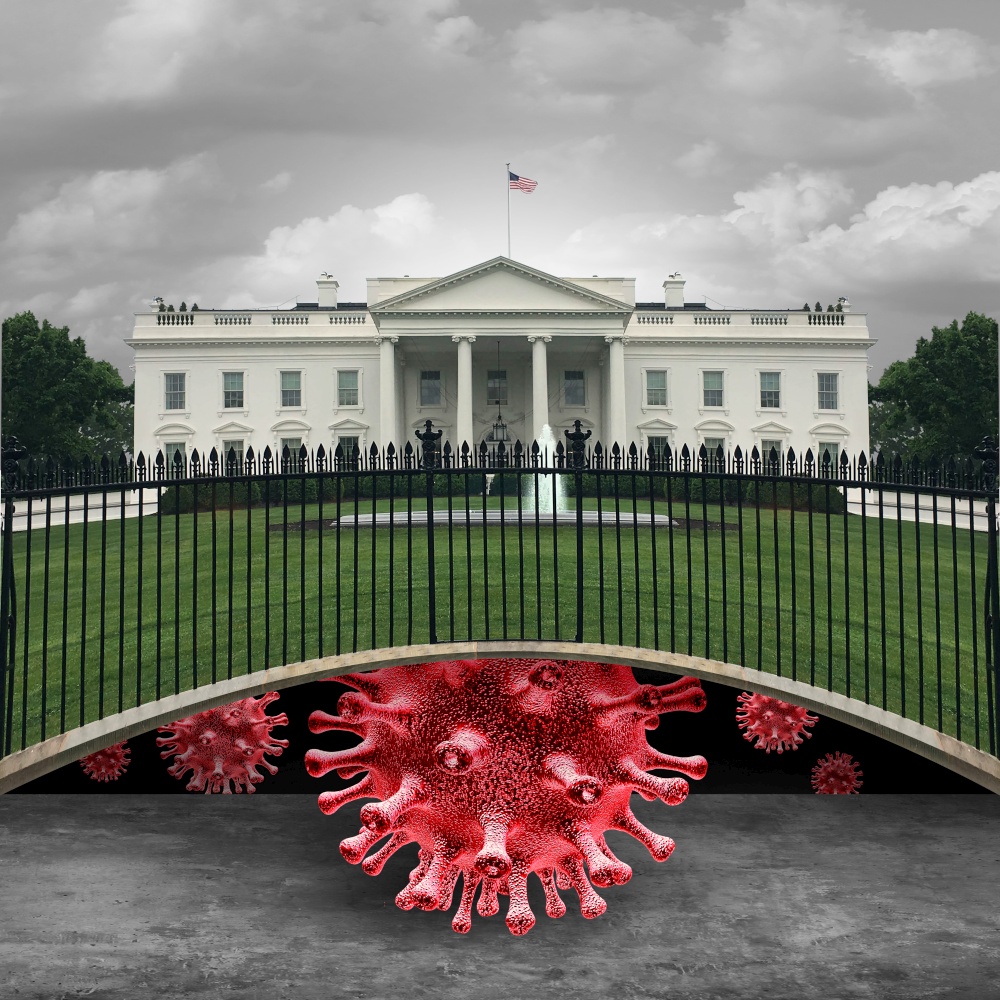 Health and the White House concept as the risk of coronavirus or covid-19 and flu virus danger in the United States as a healthcare law and policy symbol with 3D elements.