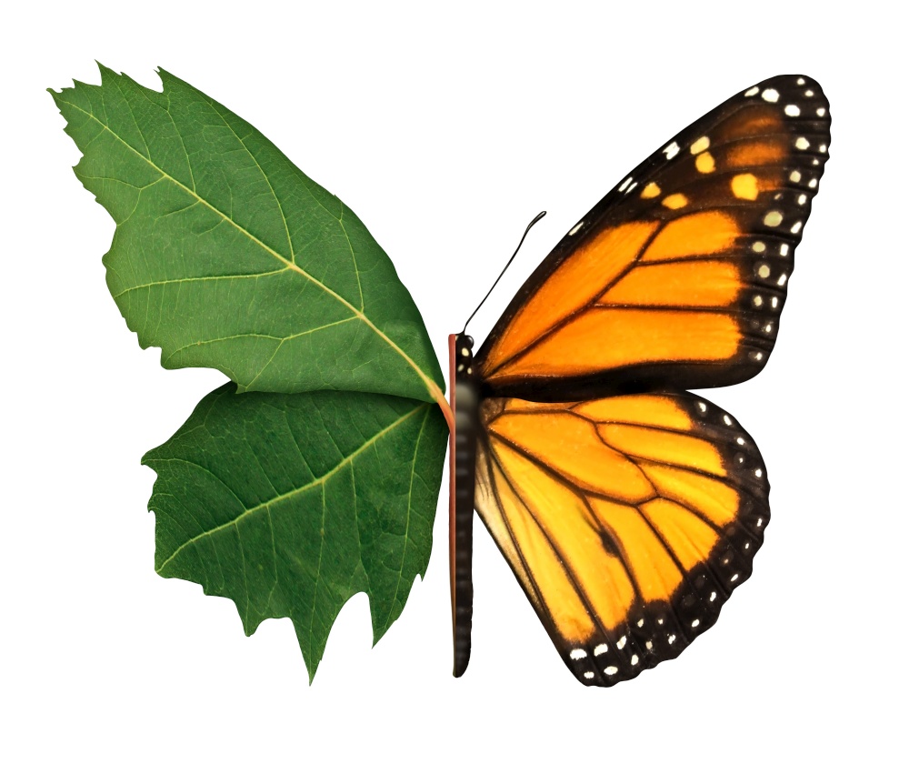 Habitat symbol and ecology concept as a leaf and butterfly isolated on a white background in a 3D illustration style.