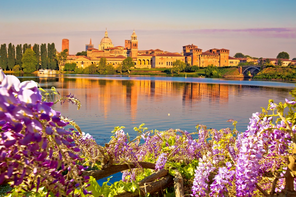 City of Mantova skyline early morning view through flowers from lago Inferiore, European capital of culture and UNESCO world heritage site, Lombardy region of Italy