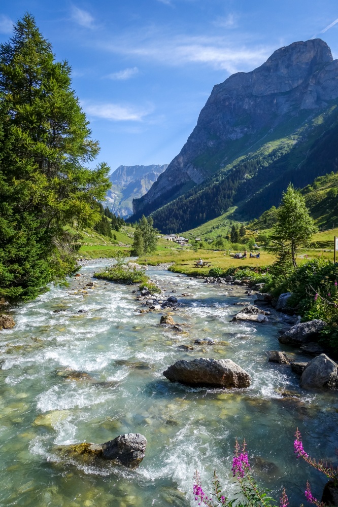 Doron river in Vanoise national Park alpine valley, Savoie, French alps. Doron river in Vanoise national Park valley, French alps