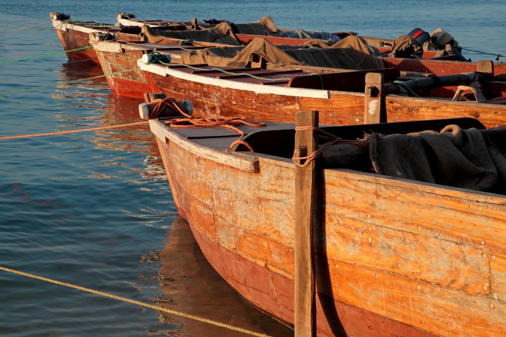 Anchored wooden boats in late afternoon light, Zanzibar island