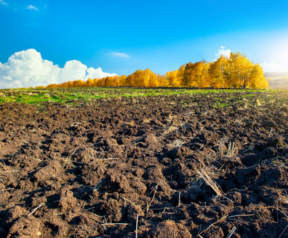 Freshly plowed farm field on a blue sky background
