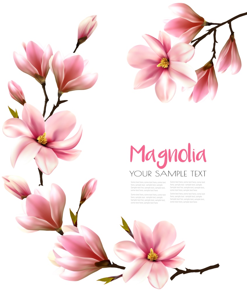 Nature background with beautiful magnolia branches. Vector.