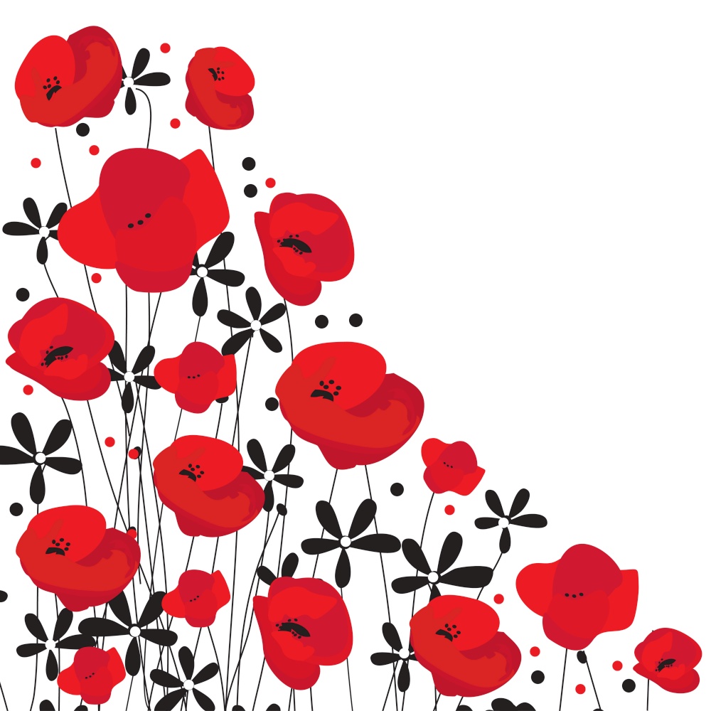 Red Poppy flower isolated on white background, vector illustration