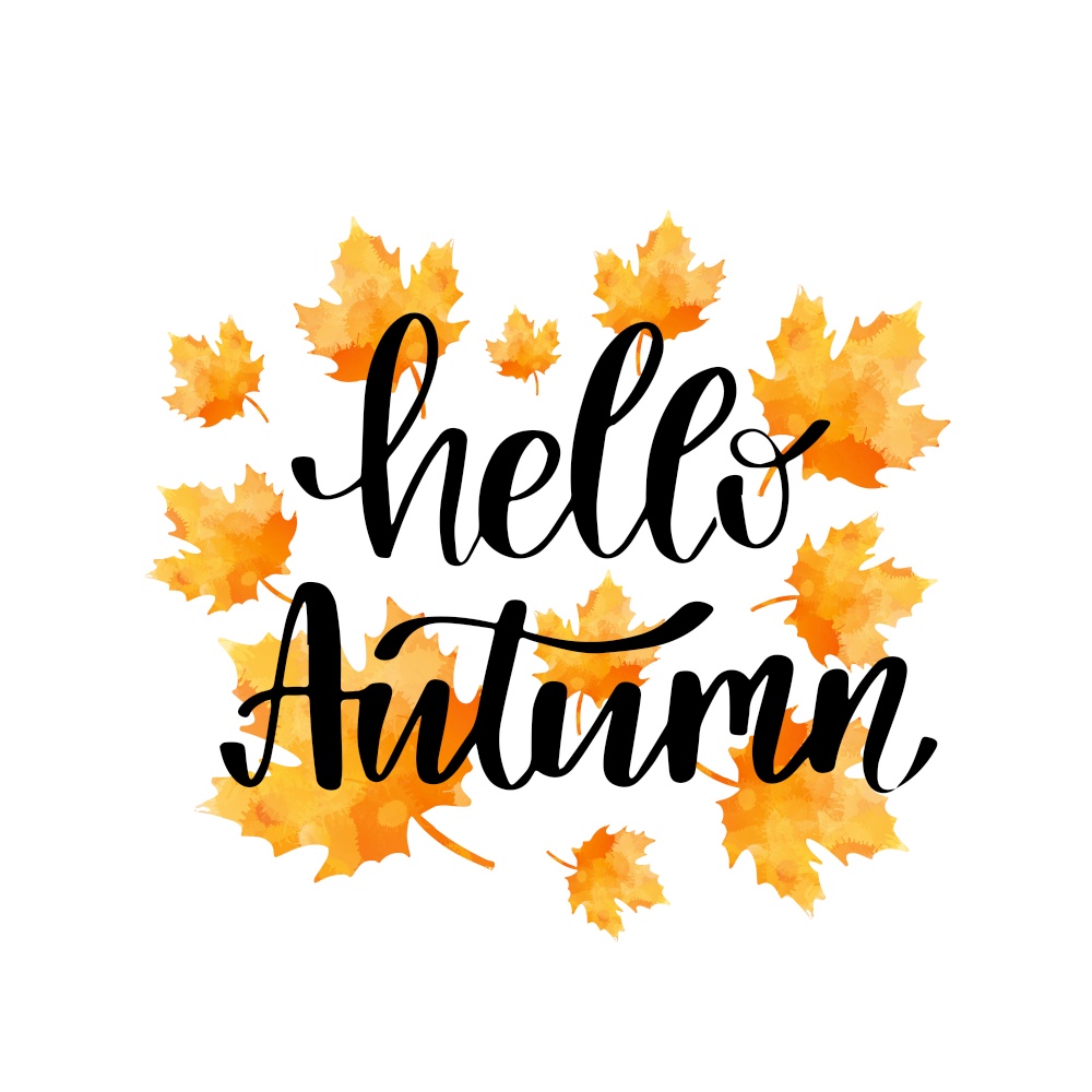 Hello autumn hand lettering phrase on orange watercolor maple leaves background. Hello autumn hand lettering phrase on orange watercolor maple leaf background