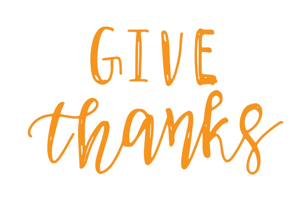 Give Thanks orange text on white background - greetings decoration for Thanksgiving Day. Vector illustration. Give Thanks text on autumn leaves - greetings decoration for Thanksgiving Day