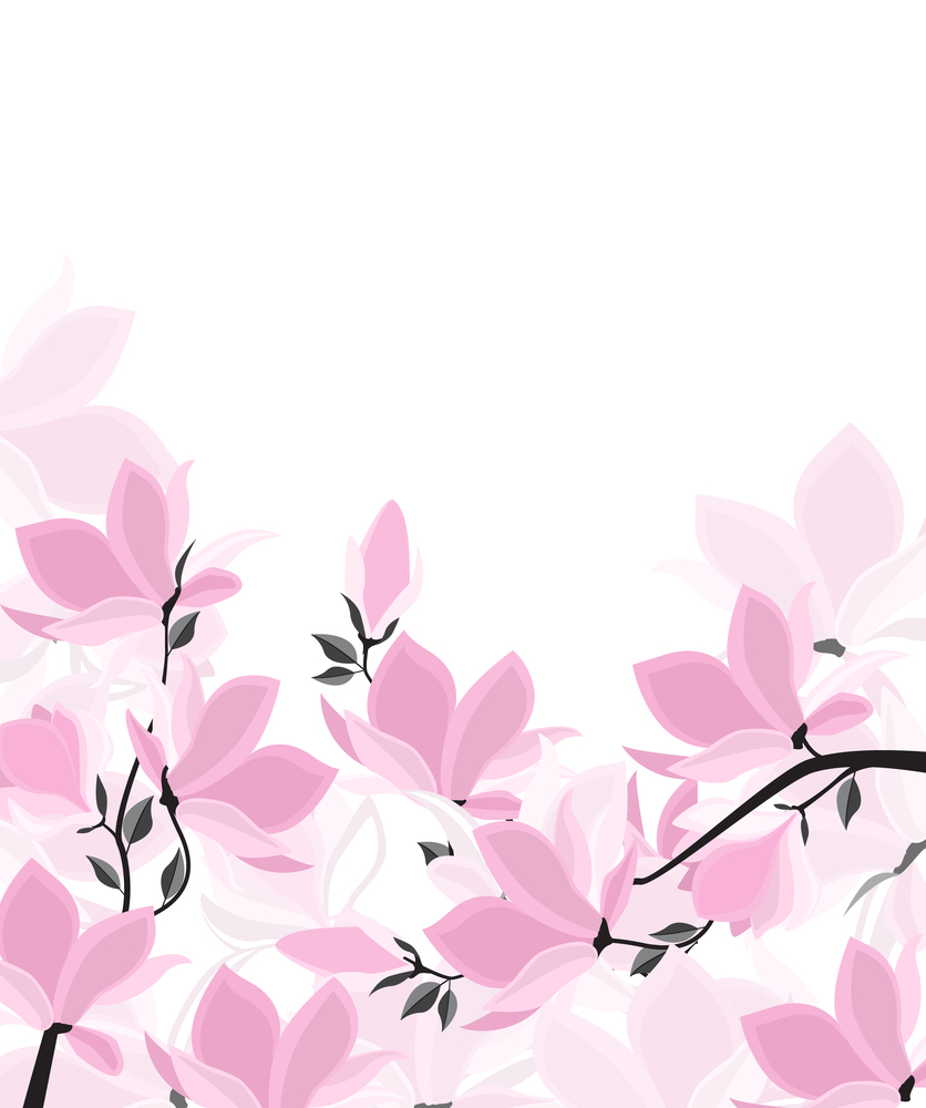 Vector illustration floral decoration. Spring tree magnolia. Background with pink flowers. Vector magnolia flowers