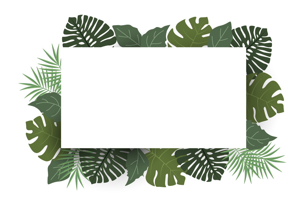 Vector illustration of palm leaf decoration. Exotic tree palm leaf. Natural frame, romantic decoration leaves